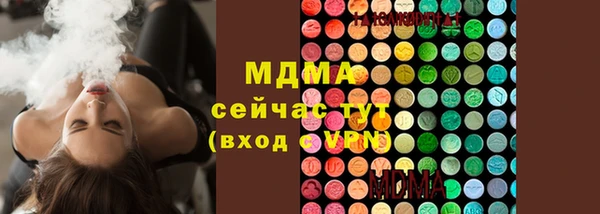 молекула духа Алексин