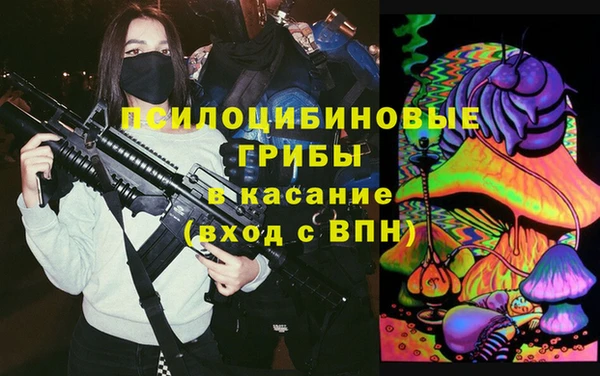 молекула духа Алексин